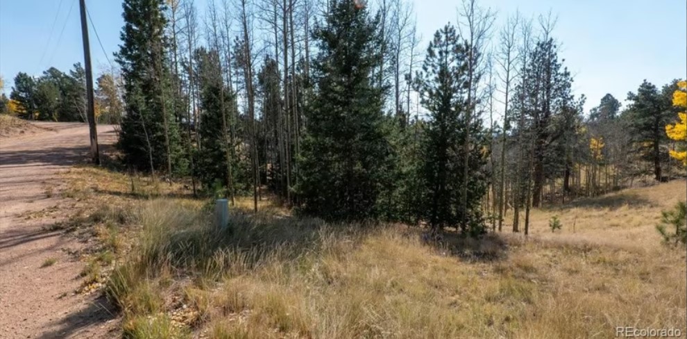Commercial Property for Sale in Cripple Creek Colorado 80813